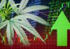 3 Positive Surprises in Aurora Cannabis’ Q3 Results: Is the Pot Stock Ready to Rebound?