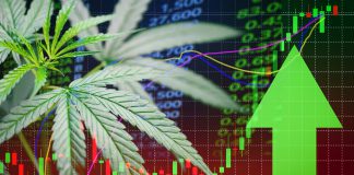3 Positive Surprises in Aurora Cannabis’ Q3 Results: Is the Pot Stock Ready to Rebound?
