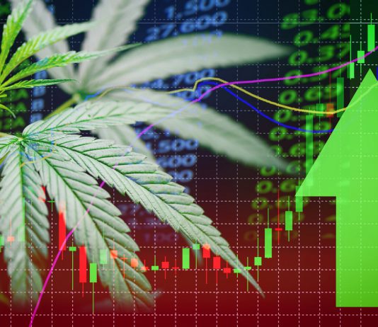 3 Positive Surprises in Aurora Cannabis’ Q3 Results: Is the Pot Stock Ready to Rebound?